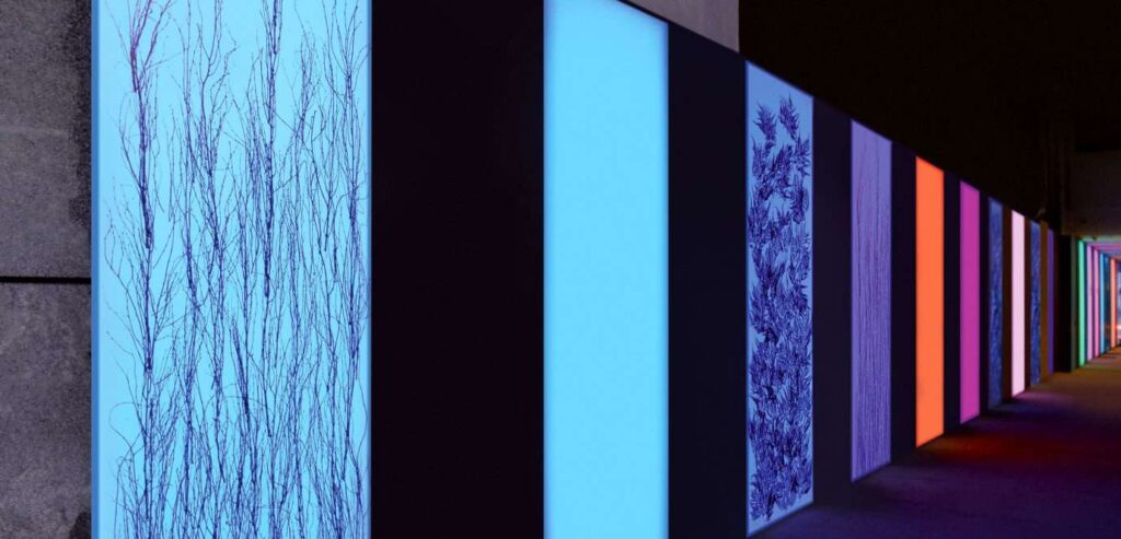 Acrylic Panels